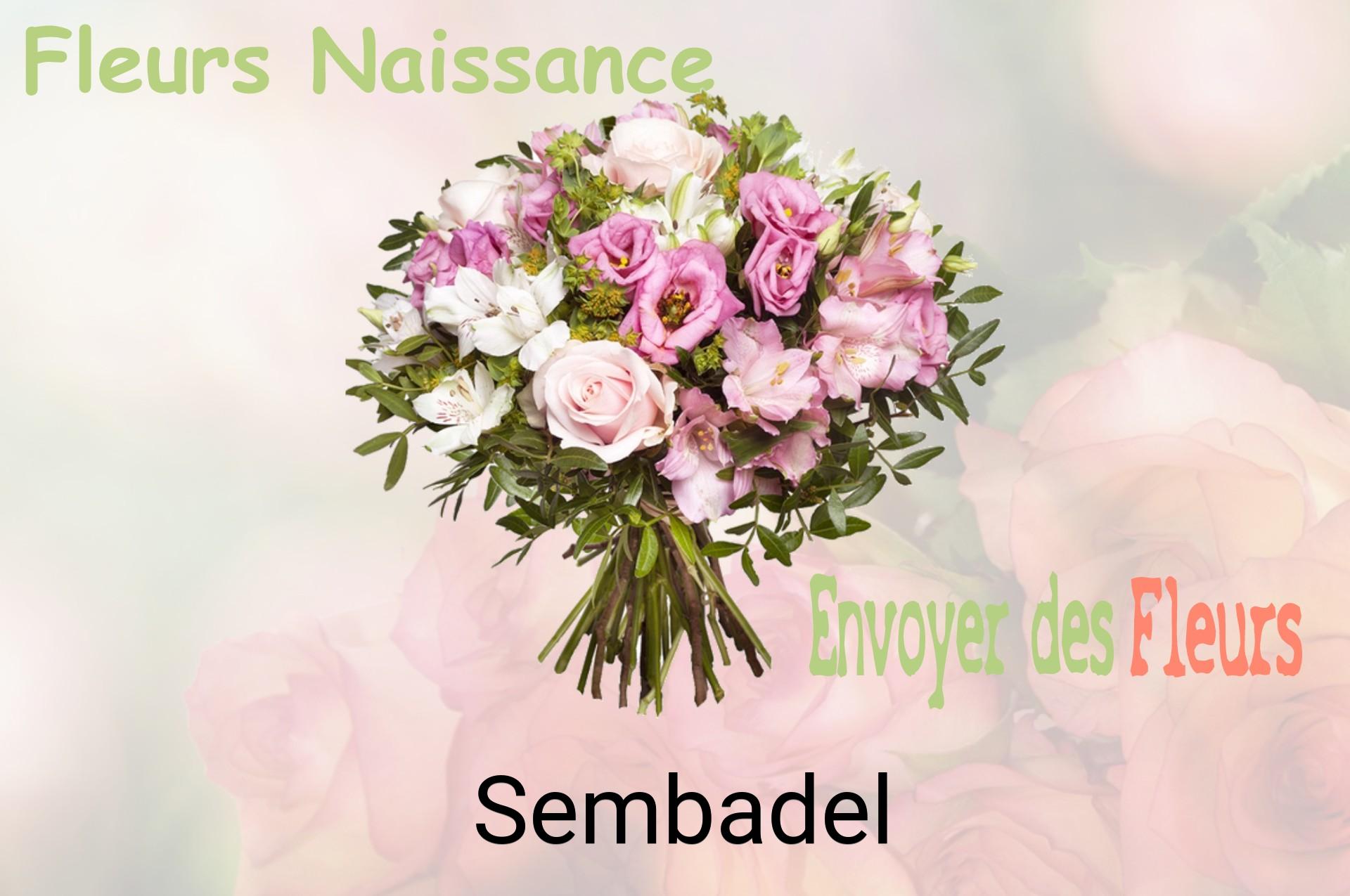 Bouquet de fleurs de naissance livré à Sembadel